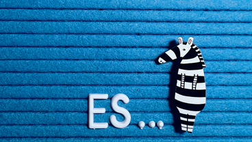 5 функций немецкого ES