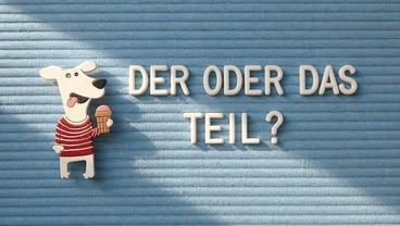 DER ODER DAS TEIL?