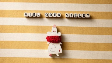 РАЗНИЦА МЕЖДУ VIEL И VIELE